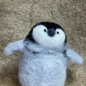 Pinguino reale