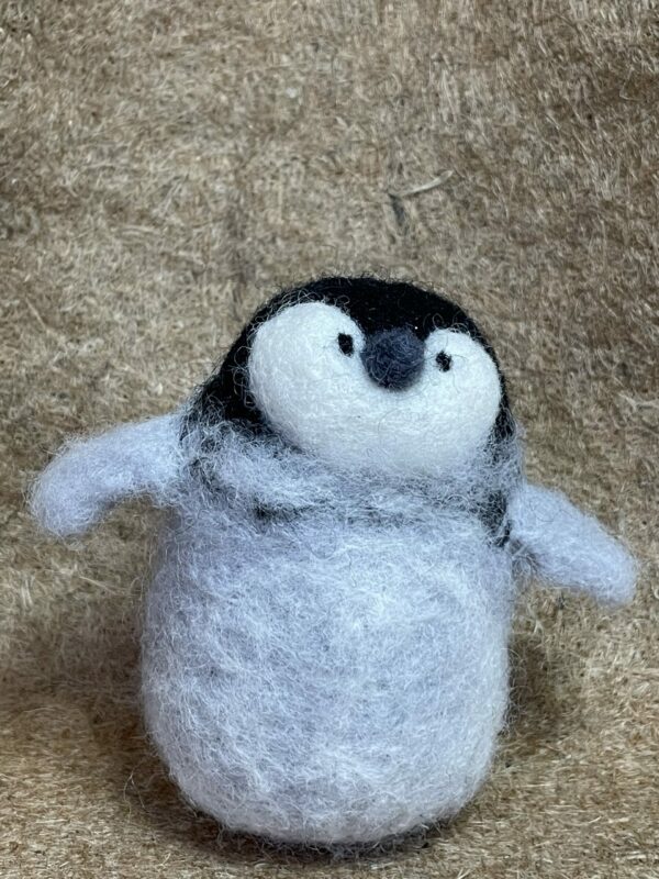 Pinguino reale