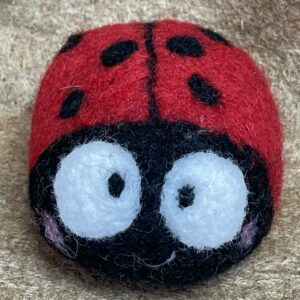 Coccinella