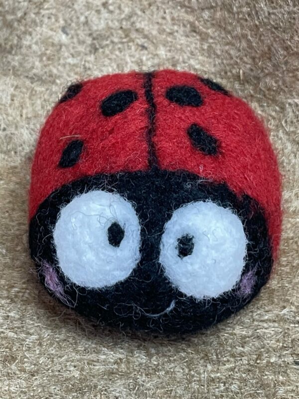 Coccinella