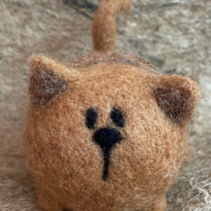 RED the cat