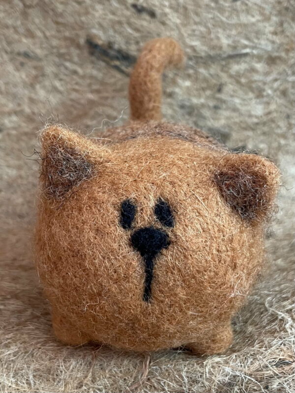 RED the cat