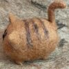 RED the cat