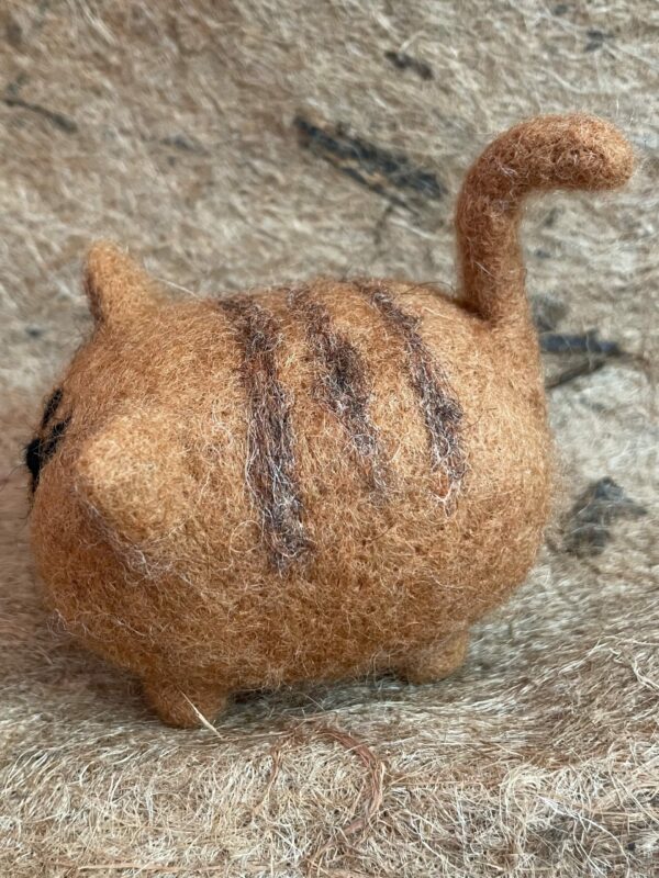 RED the cat