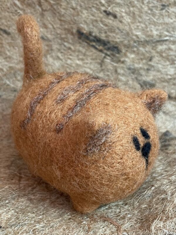 RED the cat