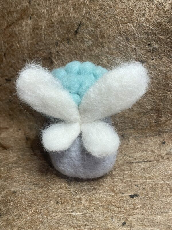 Fairy