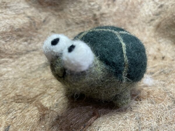 Turtle