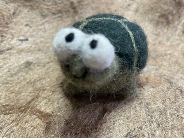 Turtle