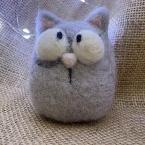 Grey cat