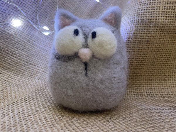 Grey cat