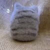 Grey cat