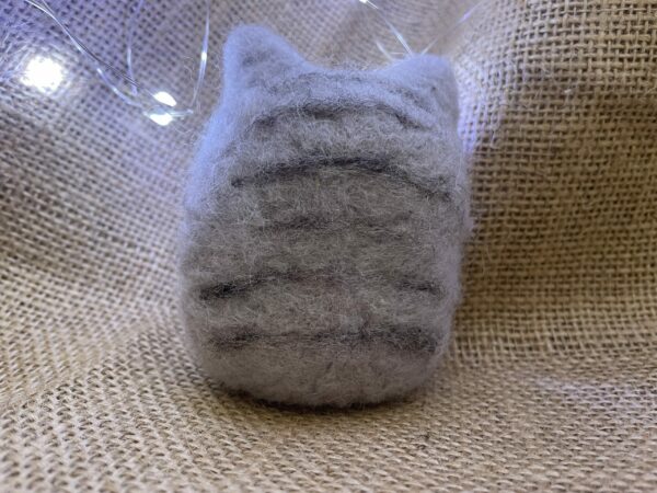 Grey cat