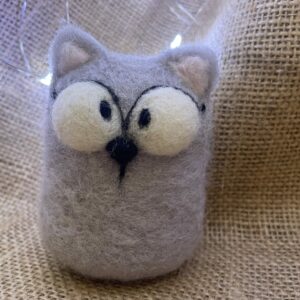 Puppy grey cat