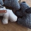 Tedd