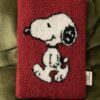 Custodia Kindle