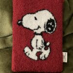 Custodia Kindle